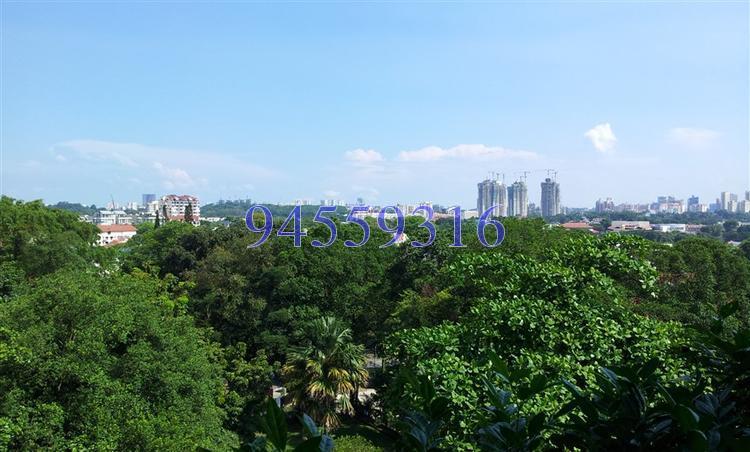 The Arcadia (D11), Condominium #138962322